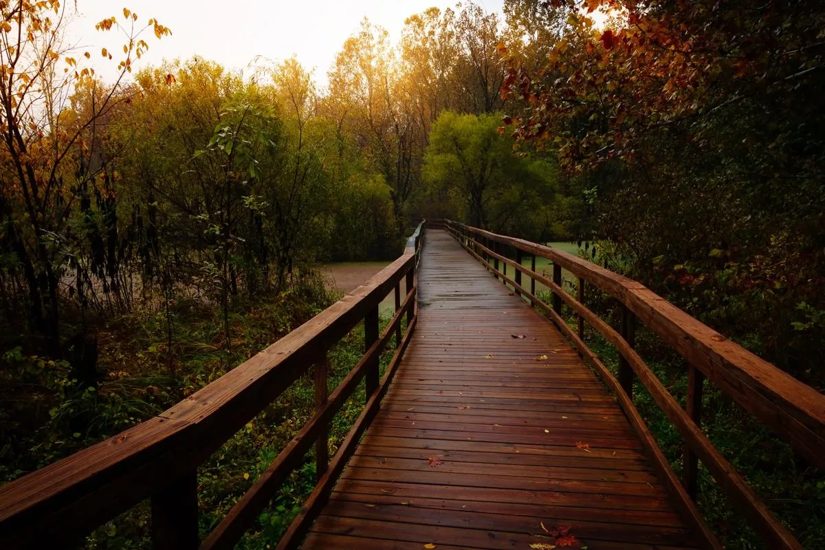 Bridge in the park at sunset.